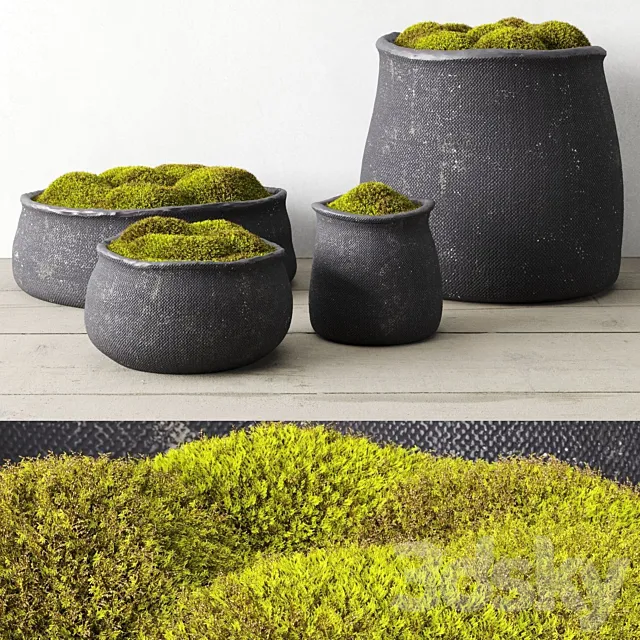 Crosshatch concrete vessel collection with moss 3DModel