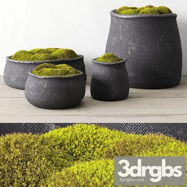 Crosshatch concrete vessel collection with moss