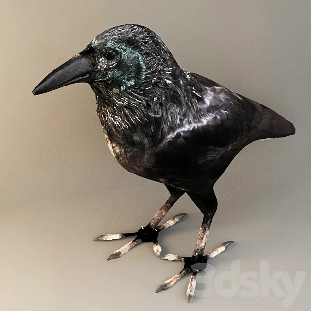 crow 3DModel