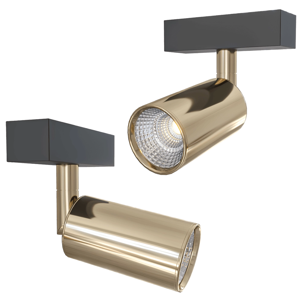 CRYSTAL LUX - Track light CLT 0.33 009 12W GO 4000K 3D Model