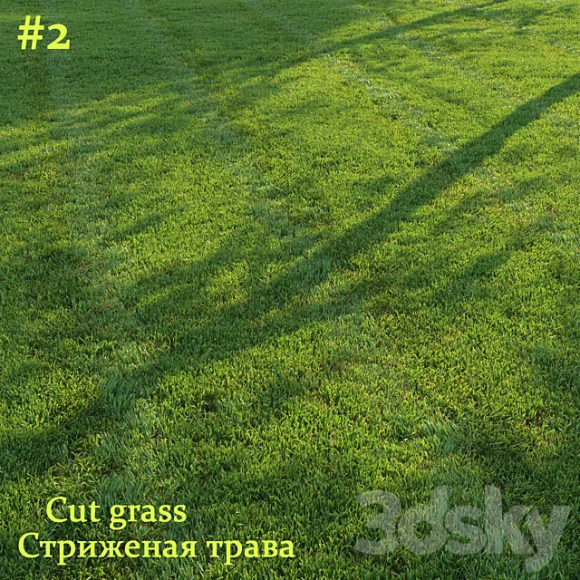 Cut grass #2 3D Model