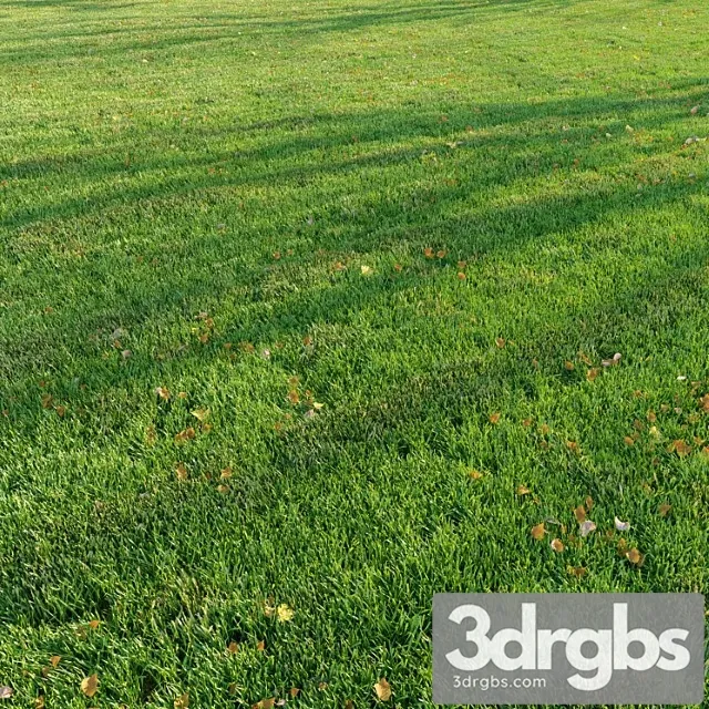 Cut Grass 3D Model Free