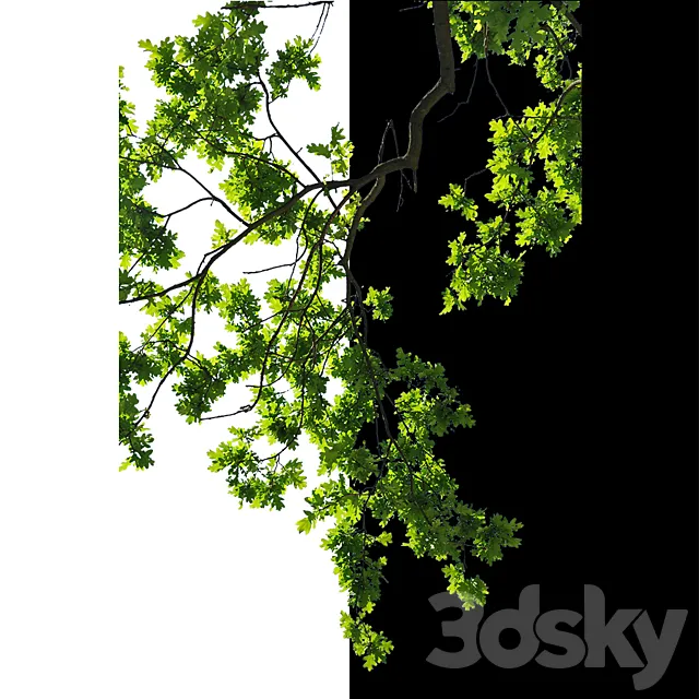 Cut out trees 3D Model