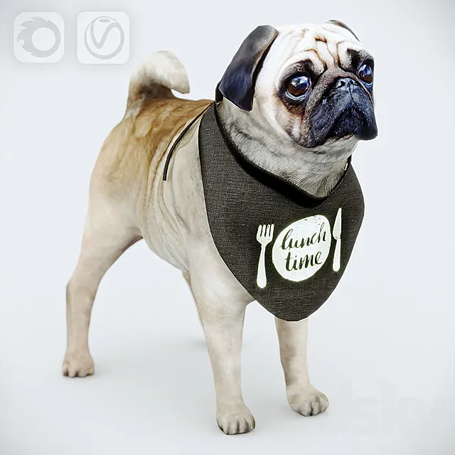 Cute Pug (vray + corona) 3DModel