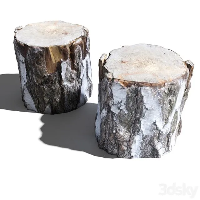 Cutted trunk 3D Model