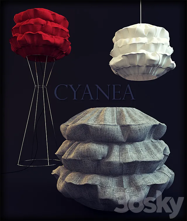 Cyanea 3DModel