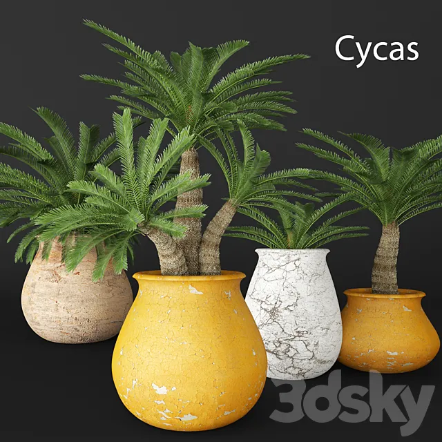 Cycas collection flower pot flowerpot outdoor exotic 3D Model