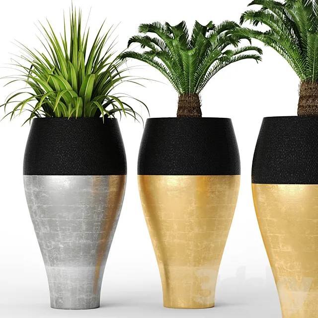 Cycas set pot flowerpot luxury golden cycas interior 3D Model