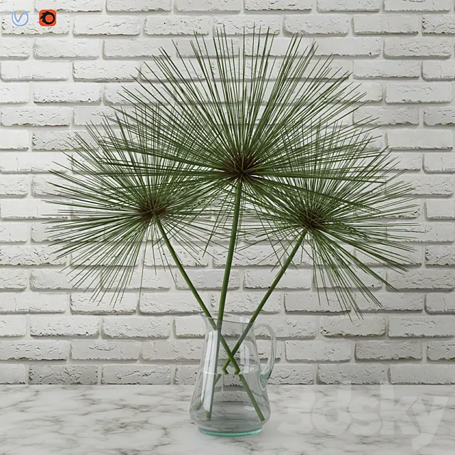 Cyperus papyrus _ Papyrus in a vase 3DModel