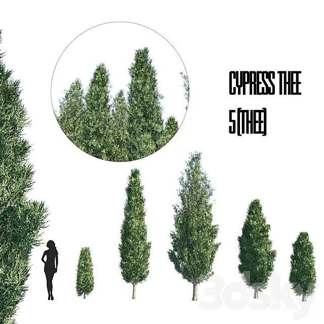 cypress thee set 1 Free Download