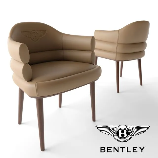 Сhair TERRY BENTLEY Home 3D Model