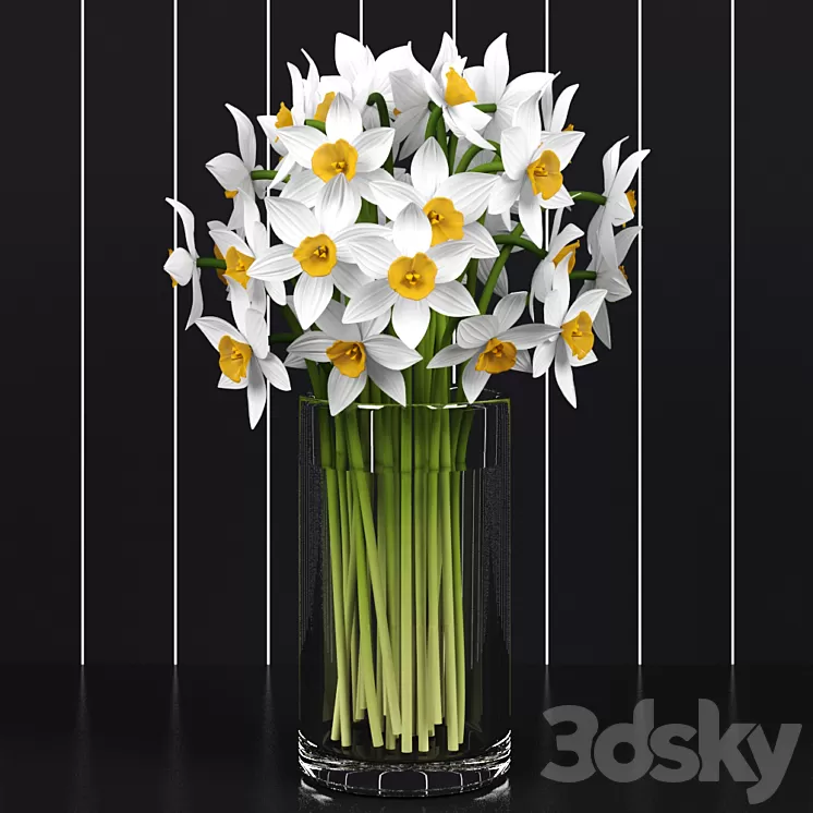 Daffodils \/ Daffodils 3D Model