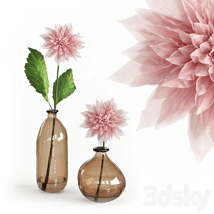 Dahlia in a glass vase 3D Model Free