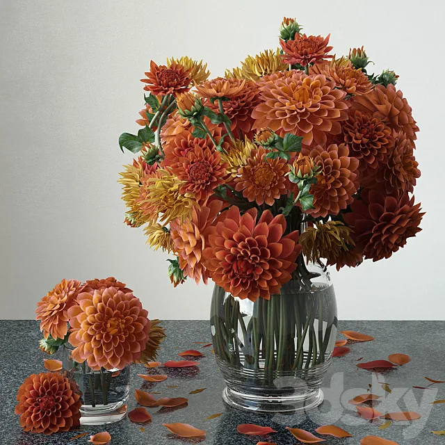 Dahlias 3DModel