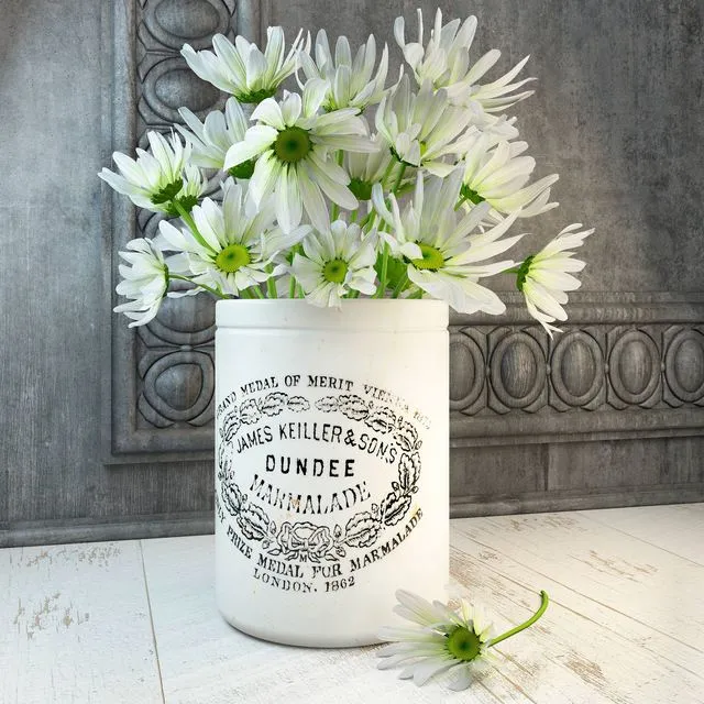 Daisies 3D Model