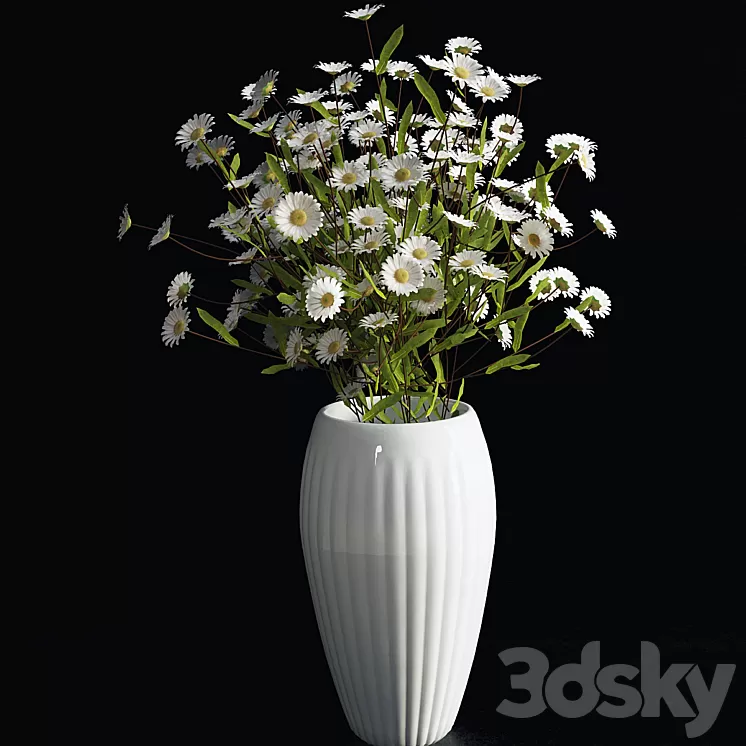Daisies 3D Model