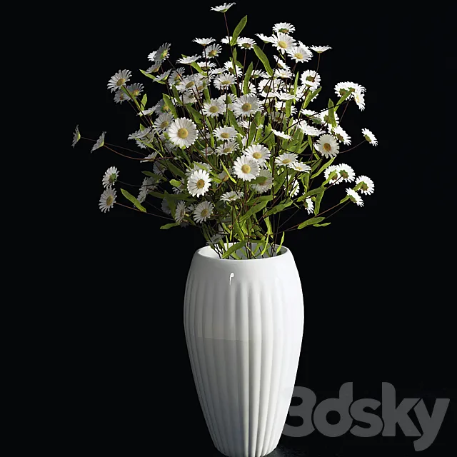 Daisies 3DModel
