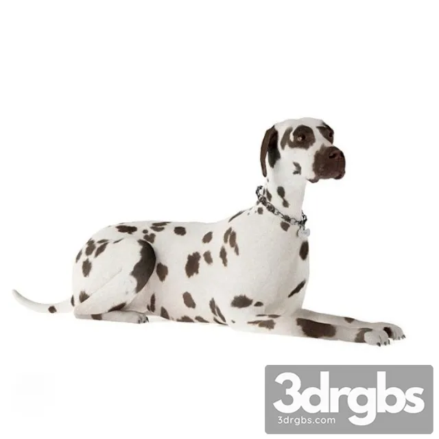 Dalmatian 3D Model Free