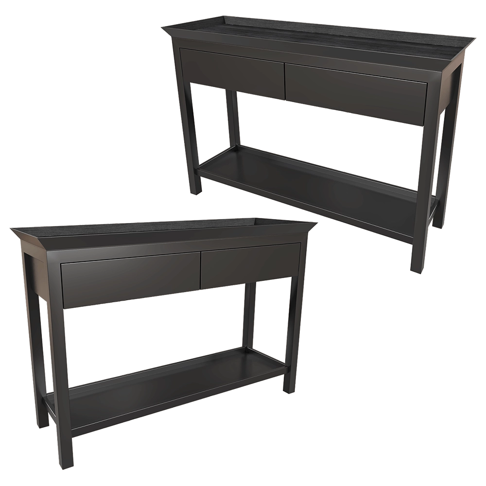 Dantone Home - Console Newport 2 drawer 3D Model