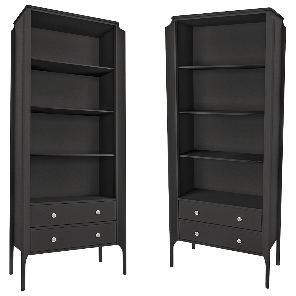 Dantone Home - Showcase library Le Visage 3D Model