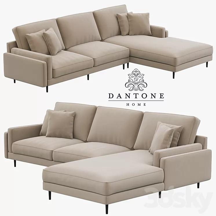 Dantone Home Sofa Portry Modular Two-Section