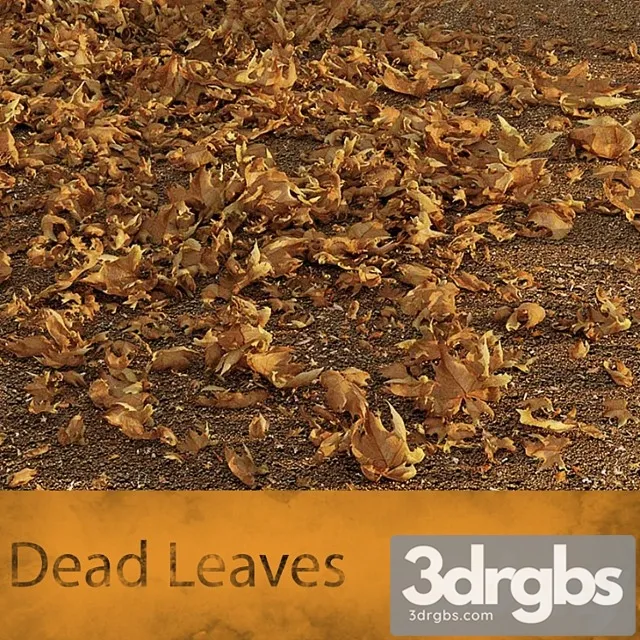 Dead Leaves 3D Model Download