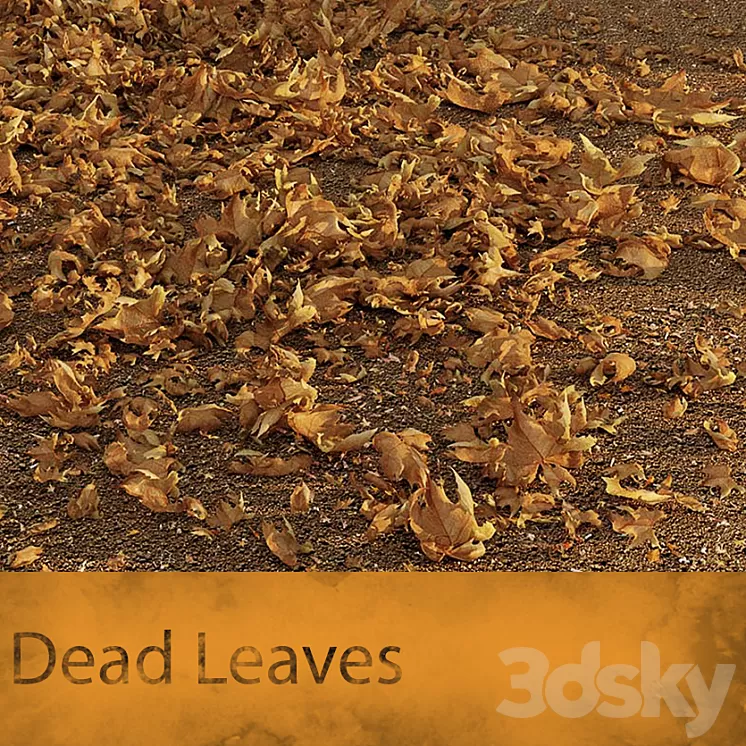 Dead Leaves 3D Model