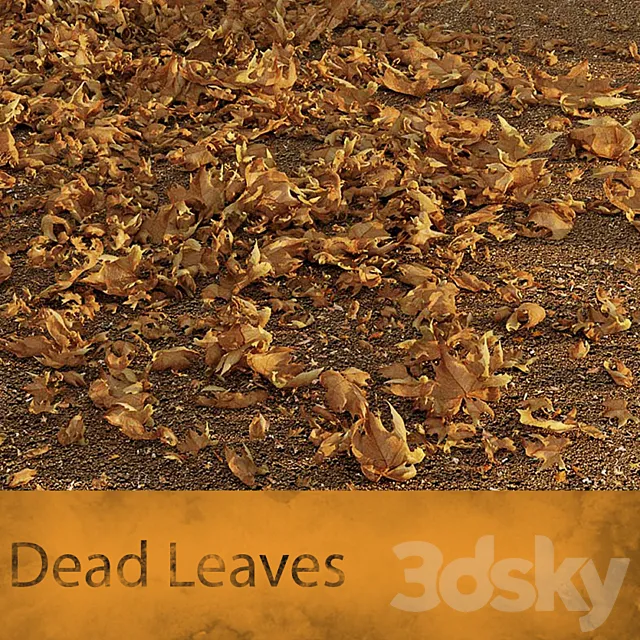 Dead Leaves 3DModel