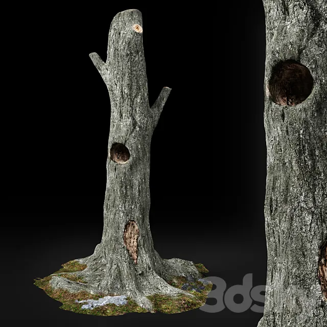 Dead tree Chestnut 3D Model