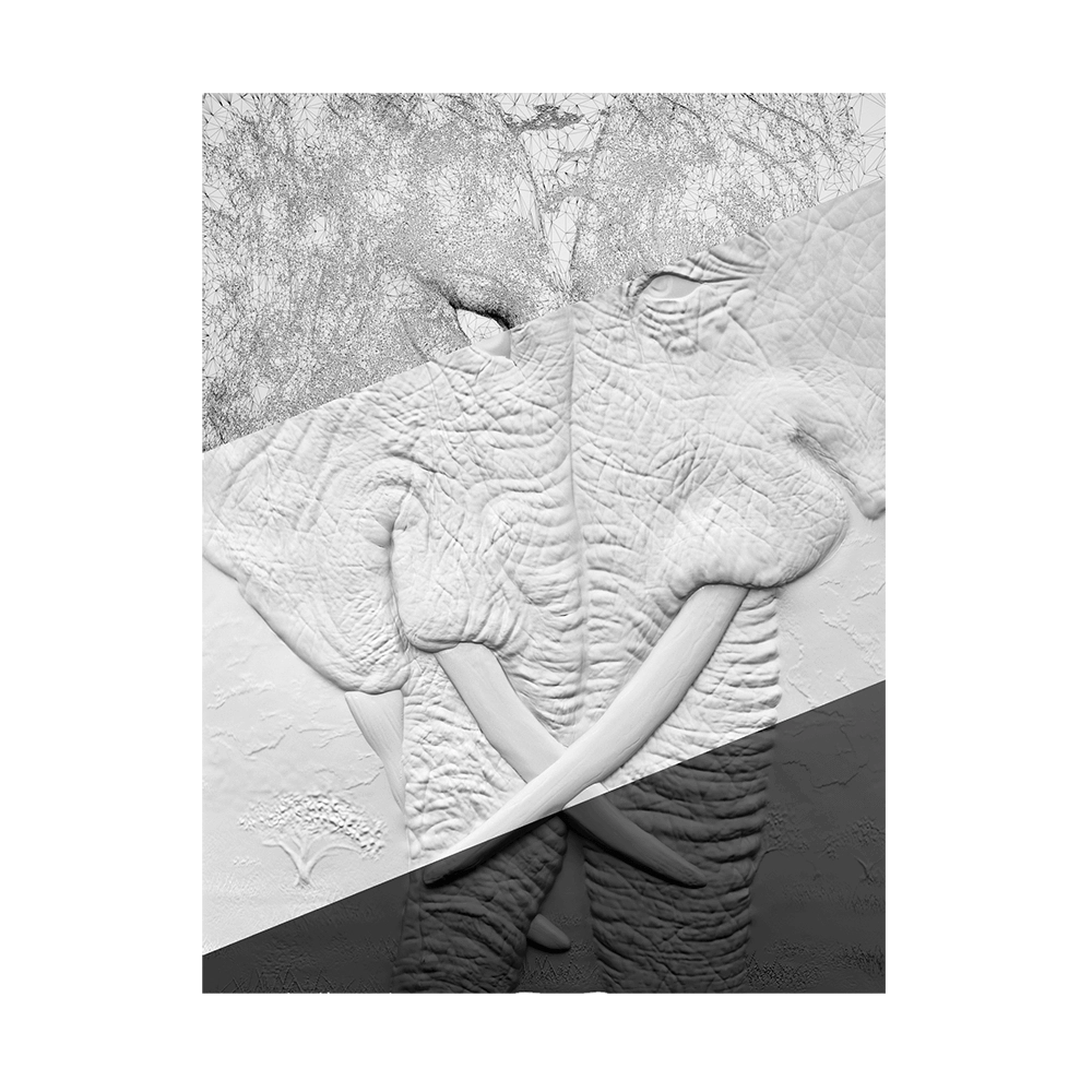 Deco Line - Dilemma 3D Model