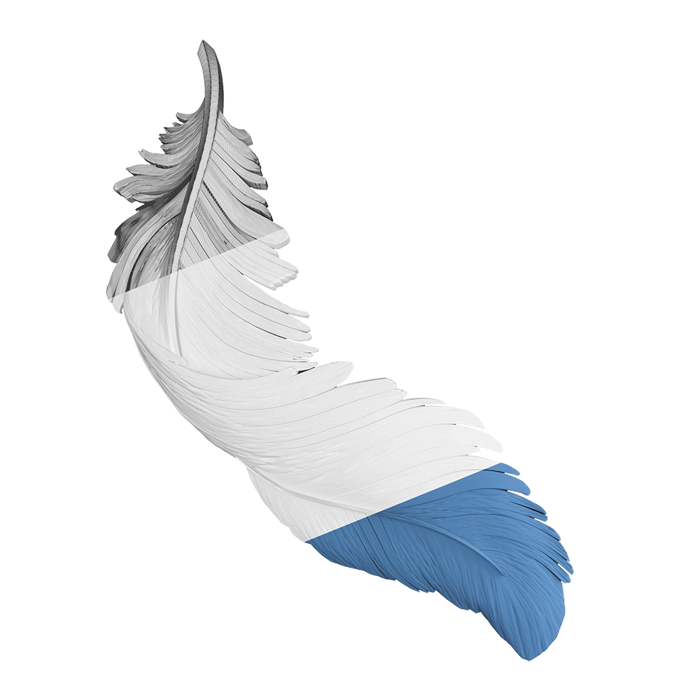 Deco Line - Feather 3D Model