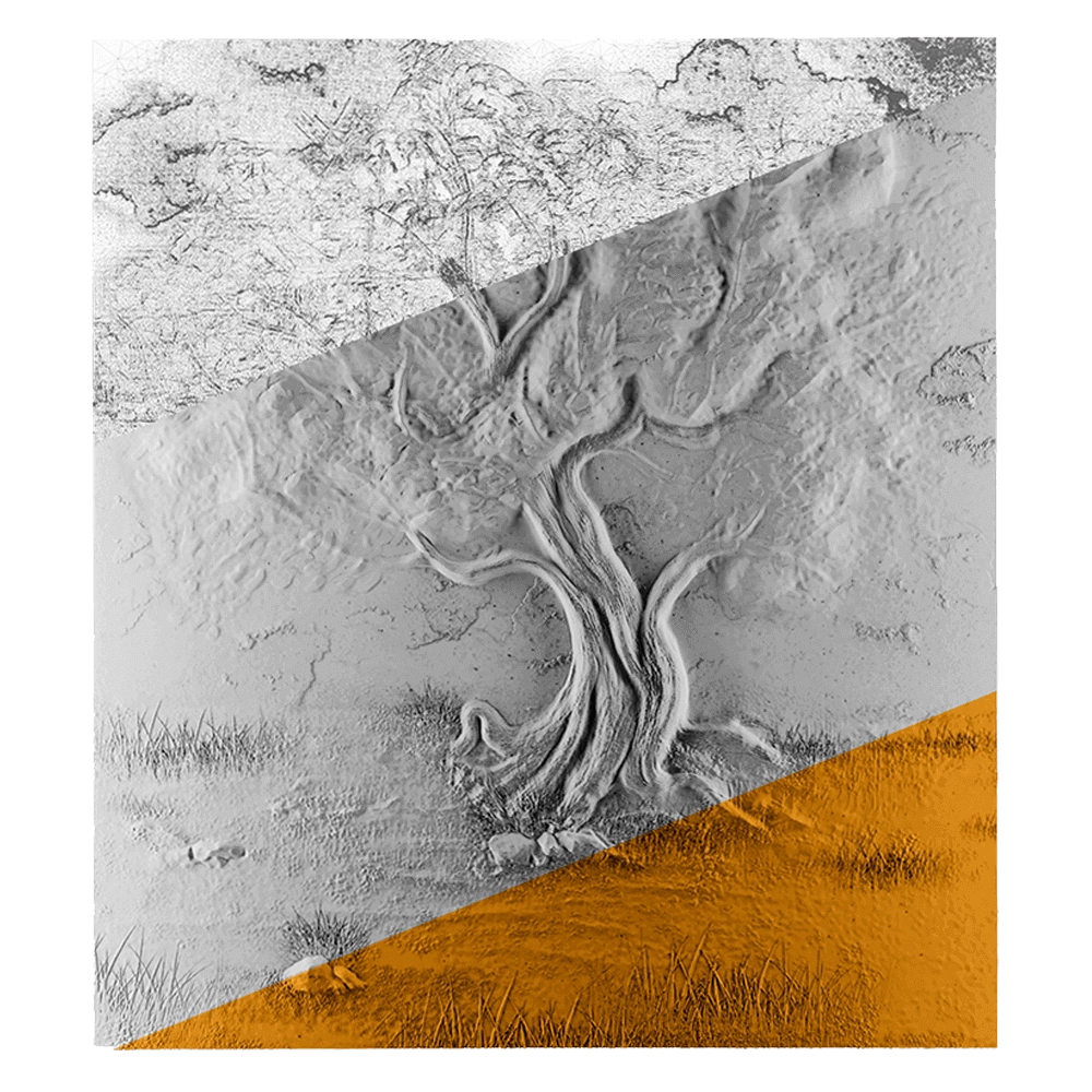 Deco Line - La Vie 3D Model