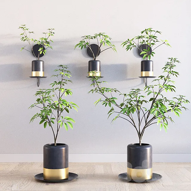 Deco Plants Set 1 3DModel