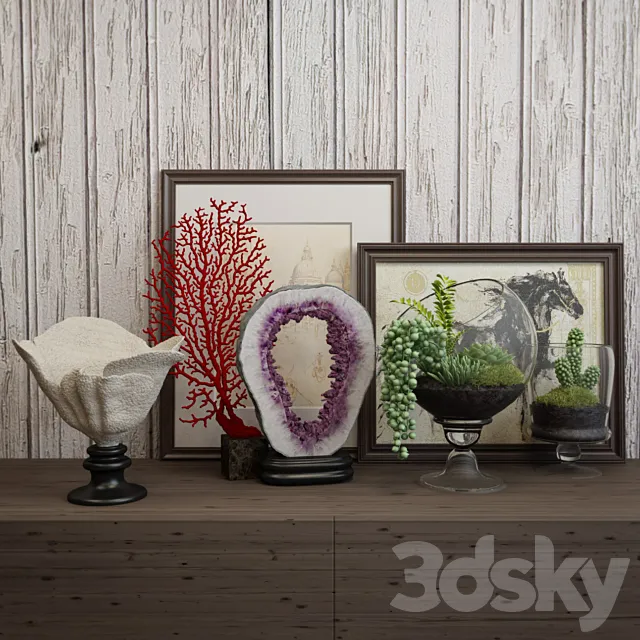 Decor coral 05 Free Download