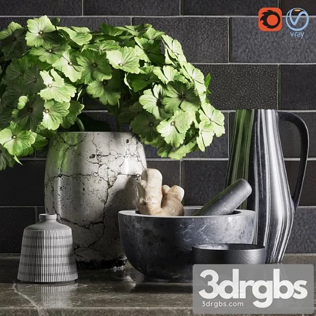 Decor For The Kitchen 3D Model Free