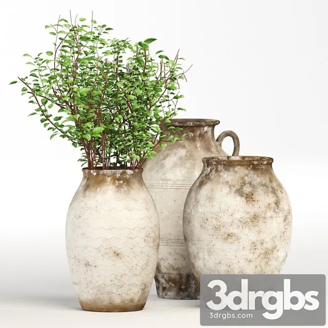 Decor Jug 3D Model Free