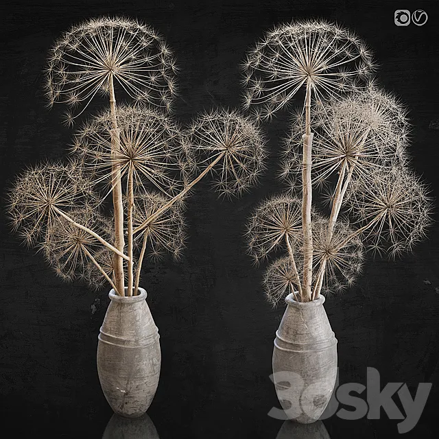 Decor set 11 Heracleum plant 3DModel