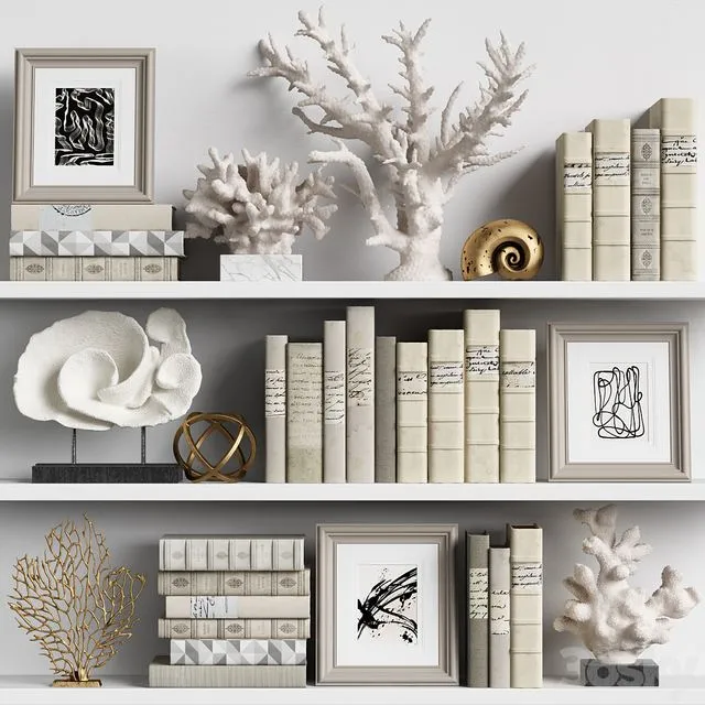 Decor Set 131 (corals sculptures books) 3D Model