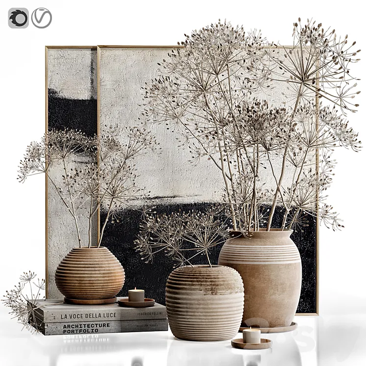 Decor set 32 Heracleum plant 3D Model Free