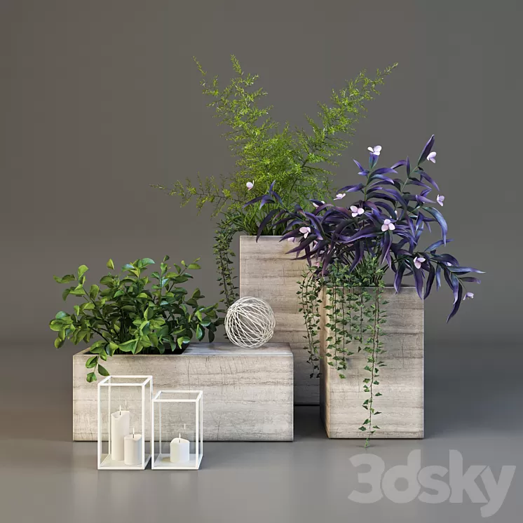 Decor set with plants 3D Model