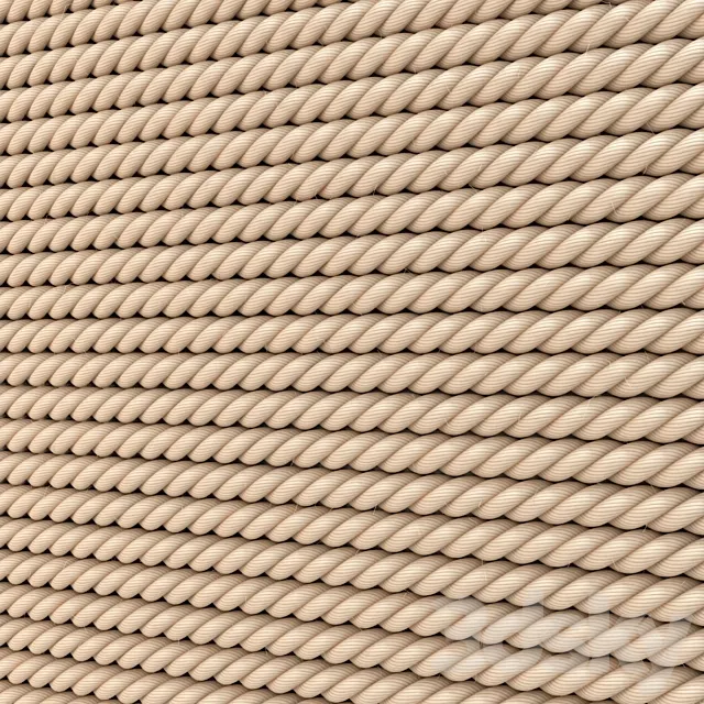 Decor Wall Ropes 3D Model