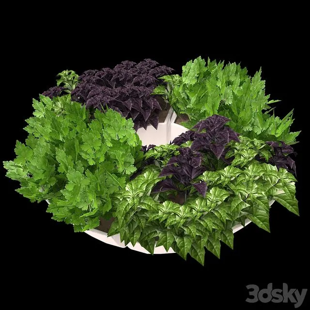 Decor with herbs 3D Model