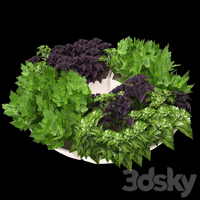 Decor with herbs 3D Model