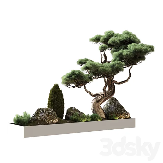 Decor with pine 3DModel