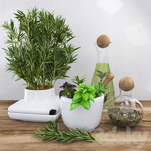 Decor with spicy herbs - rosemary 3DModel