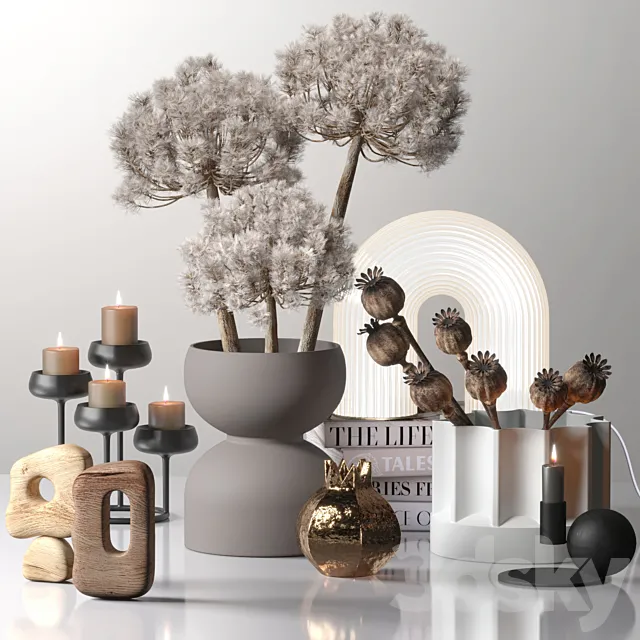 Decor_set_03 with Fluffy Dried Flower 3DModel