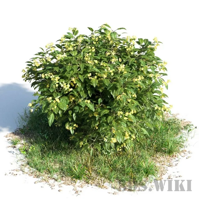 decoration - Allamanda 3D Model