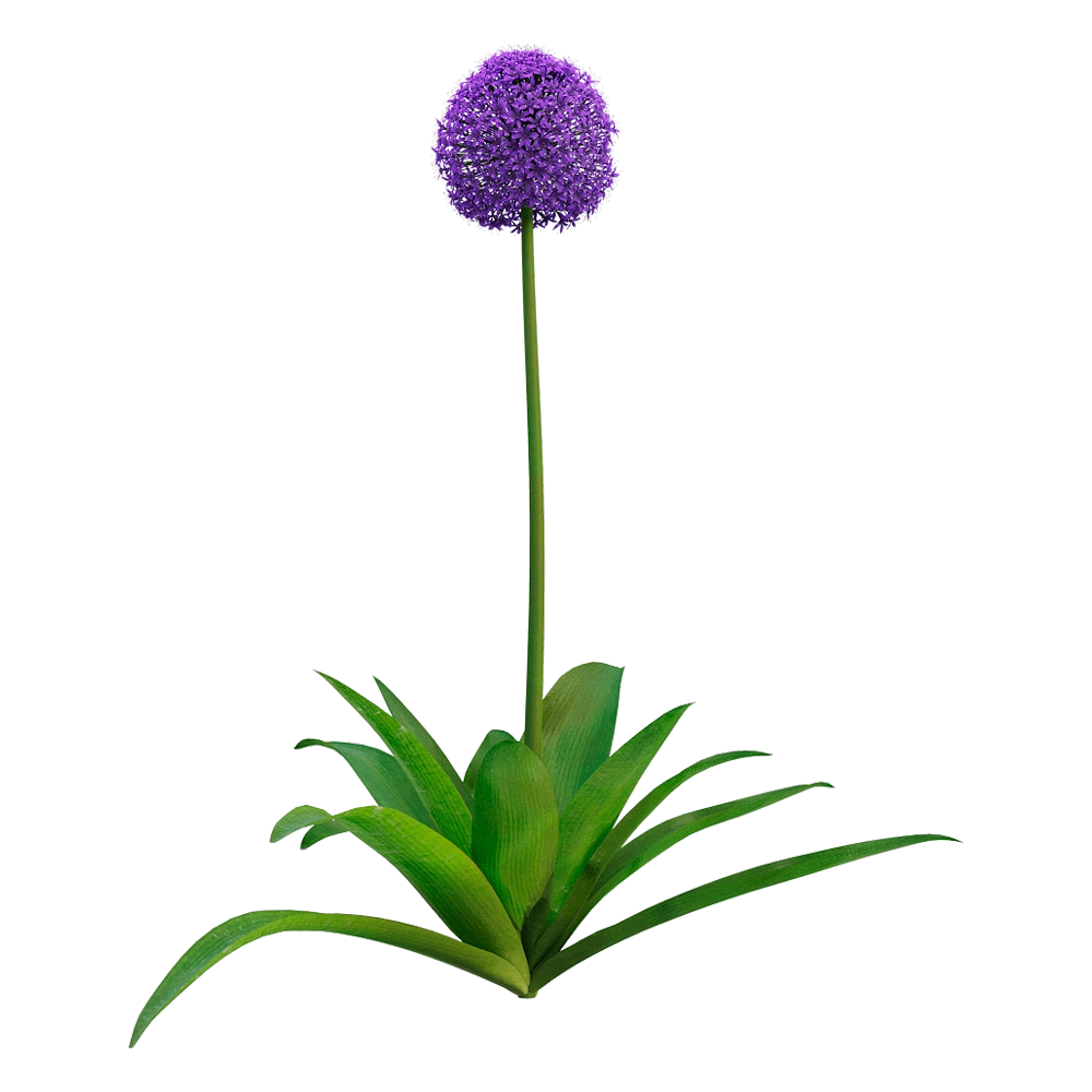 decoration - Allium giganteum  3 3D Model