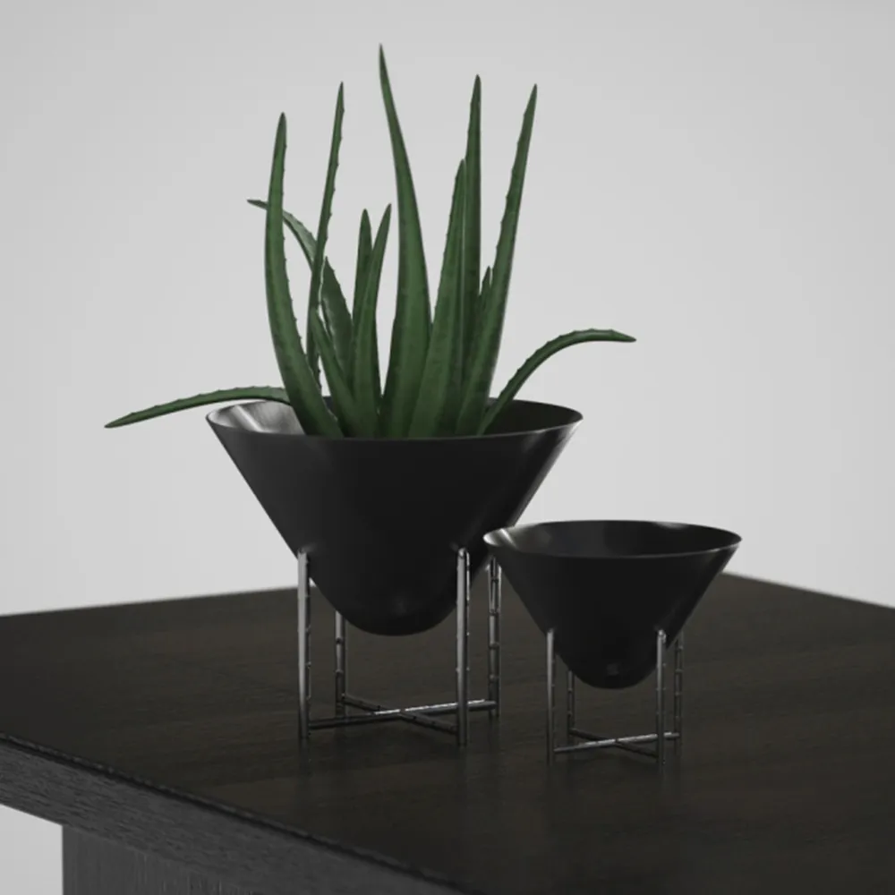 decoration - Aloe Vera in a Vase 3D Model