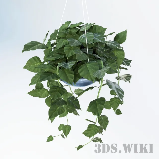 decoration - Ampel plants in hanging pots 3D Model